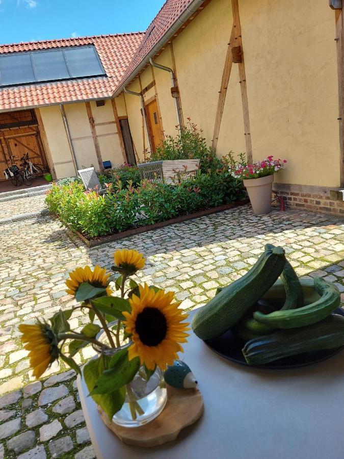 빌젠 Boerderaaj B&B 외부 사진