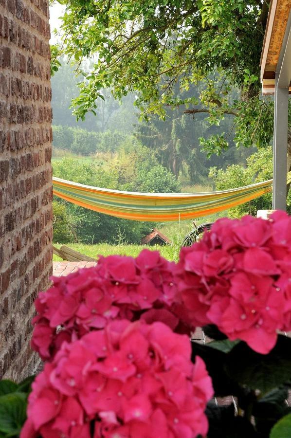 빌젠 Boerderaaj B&B 외부 사진